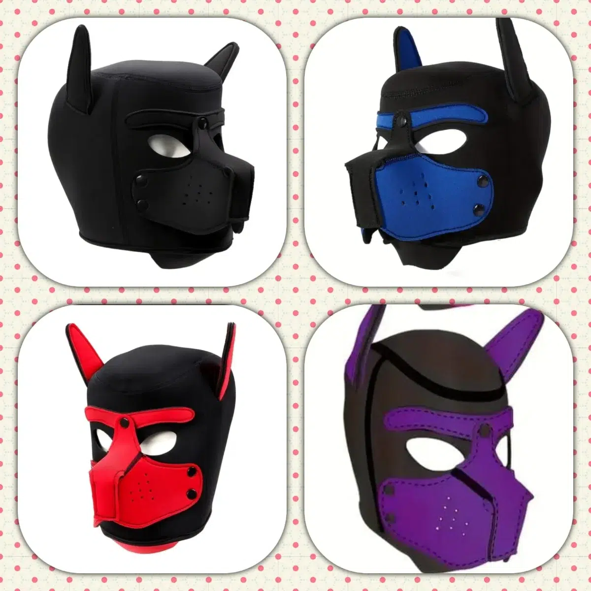 Portada de Joshi2025