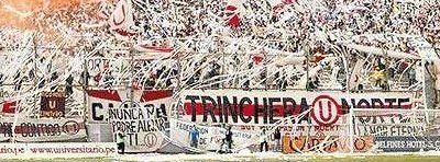 Portada de Macho18cm