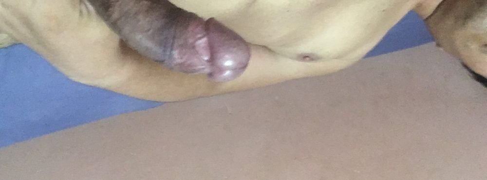 Portada de PedroCurioso