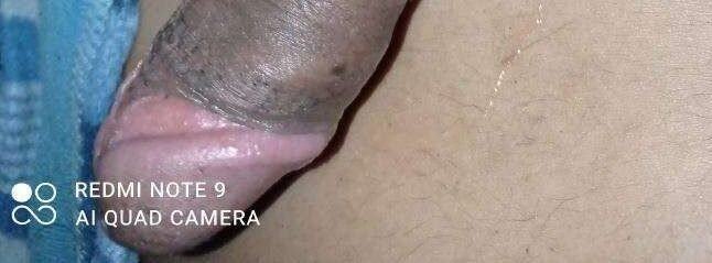 Portada de Activosxxx