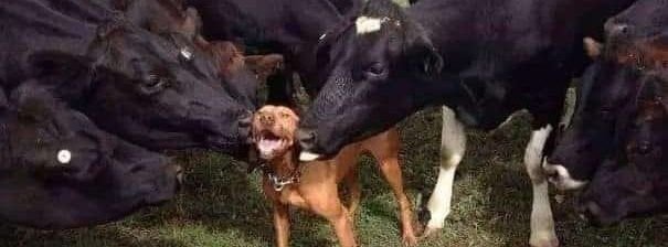 Portada de JorgeActivo