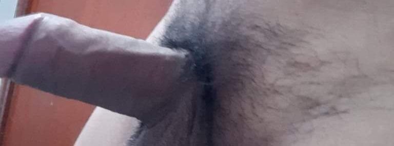 Portada de Activo fogoso