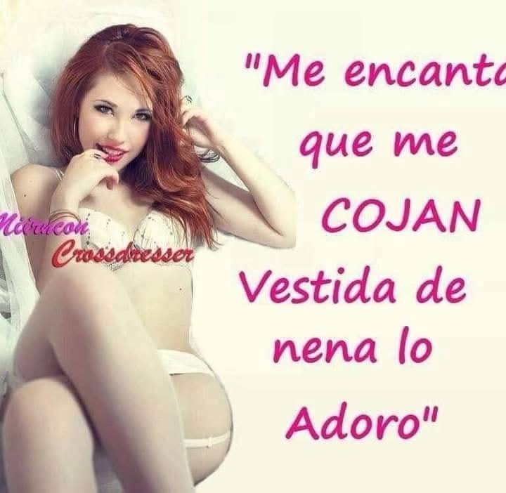 Foto de galería